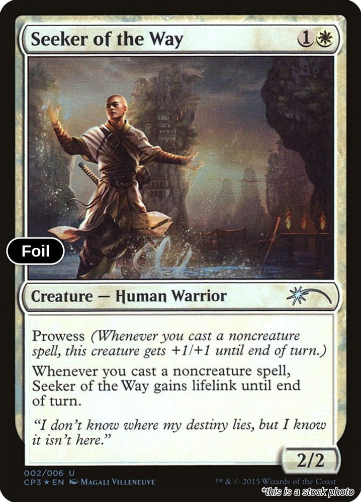 Seeker of the Way