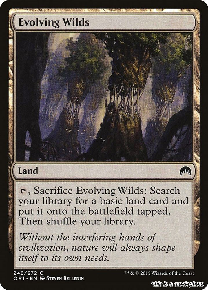 Evolving Wilds