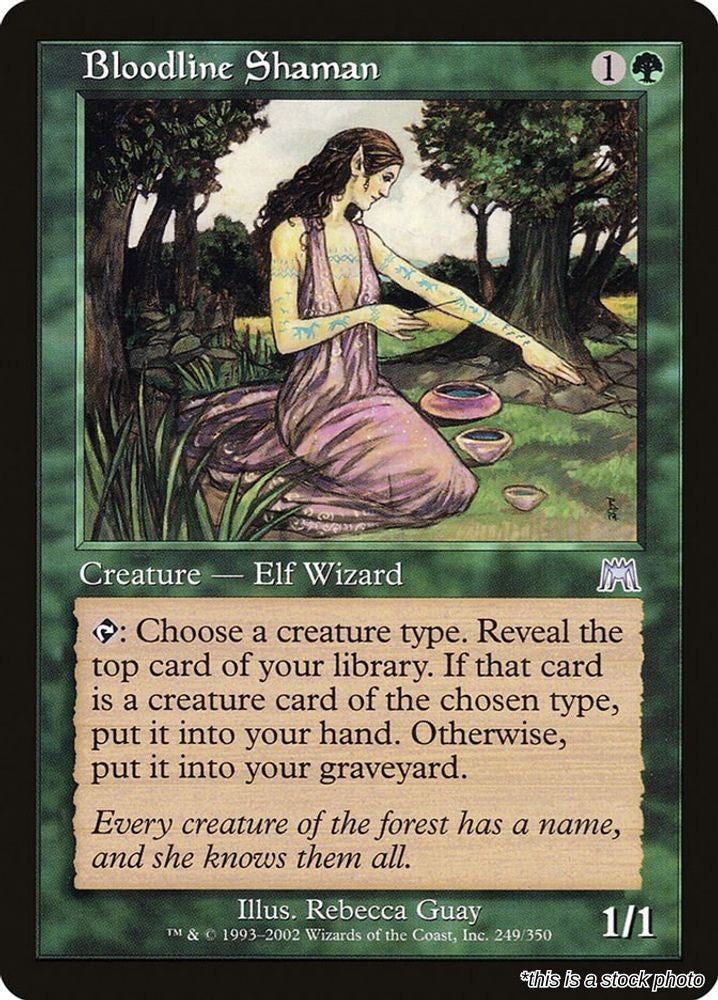 Bloodline Shaman