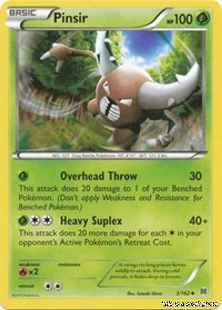 Pinsir