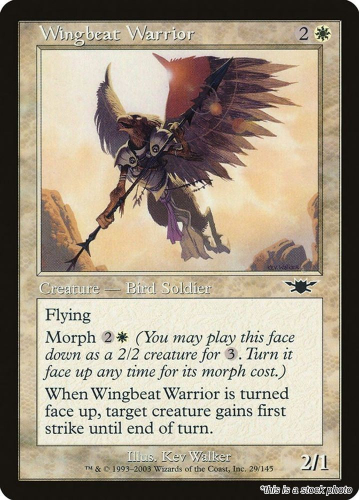 Wingbeat Warrior