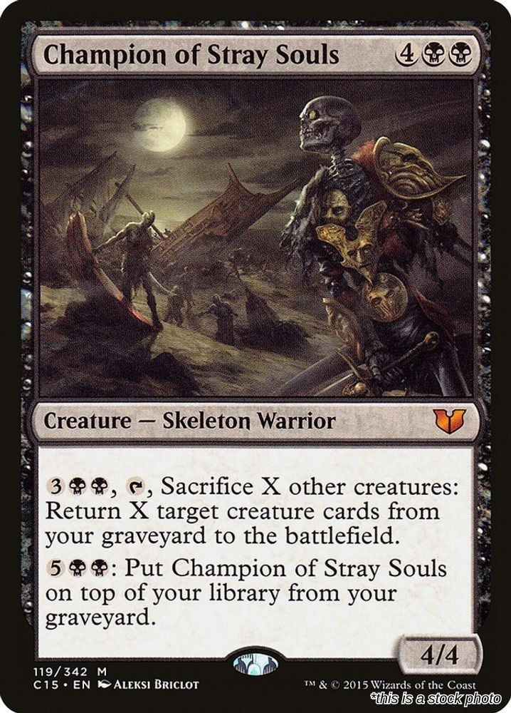 Champion of Stray Souls