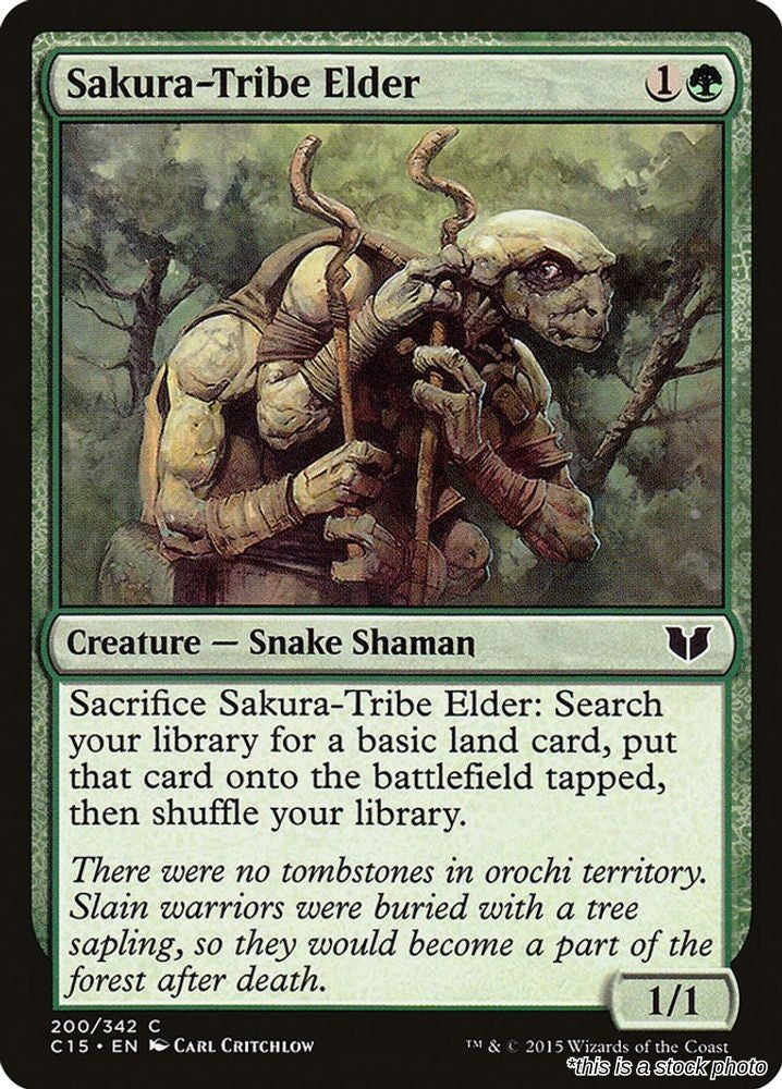 Sakura-Tribe Elder