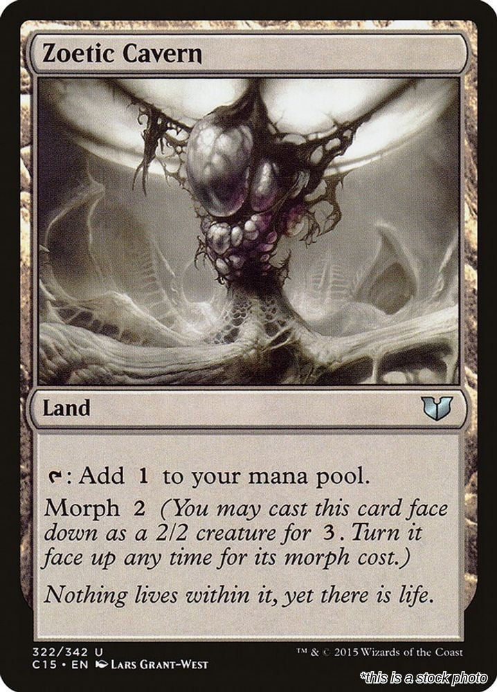 Zoetic Cavern