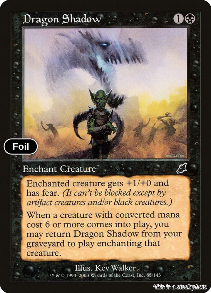 Dragon Shadow