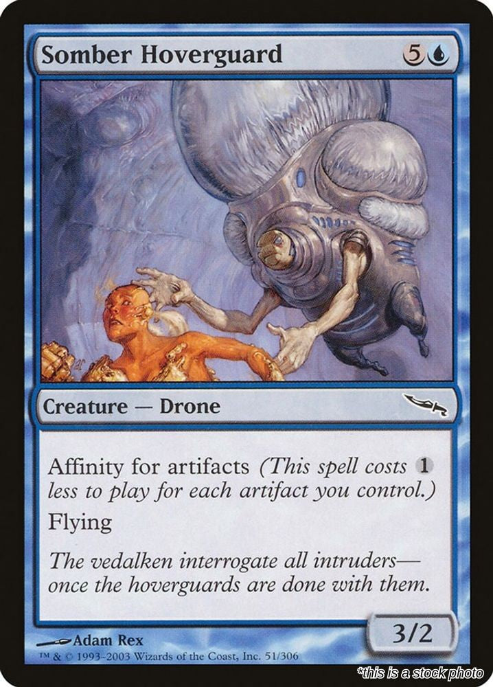 Somber Hoverguard