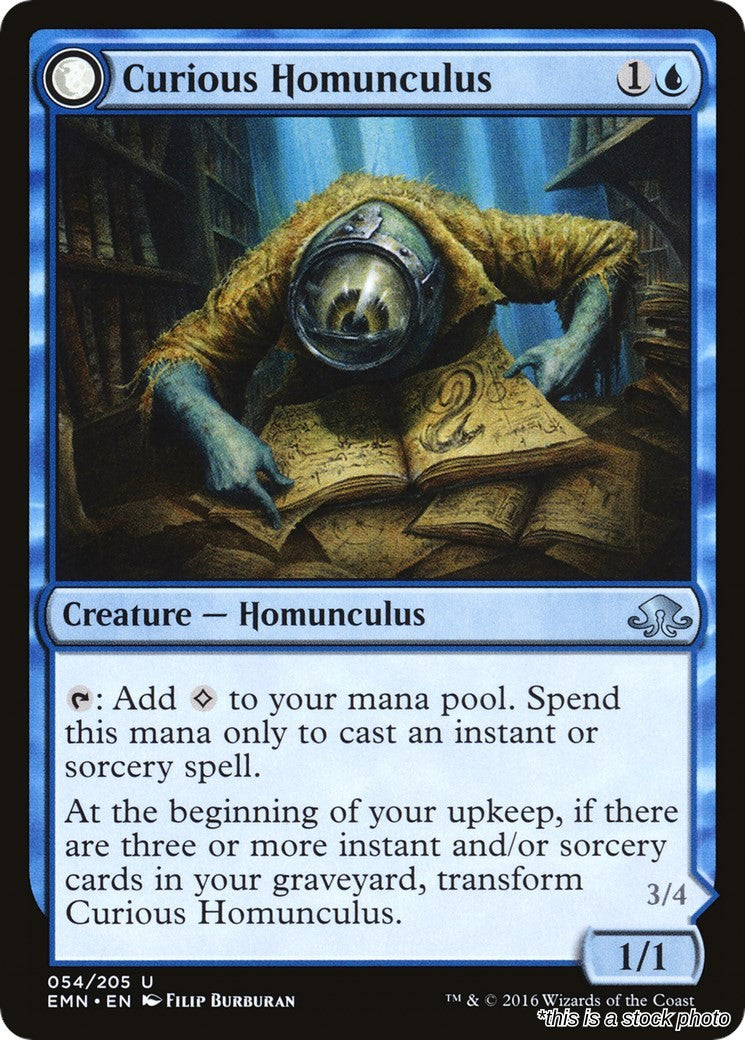 Curious Homunculus
