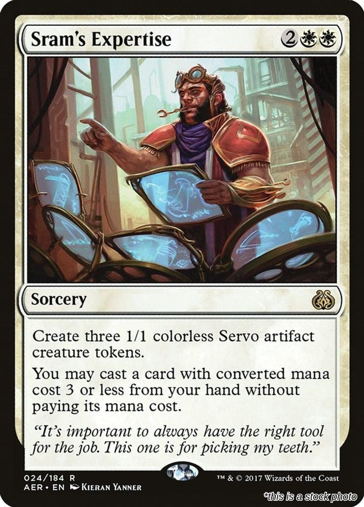Sram's Expertise