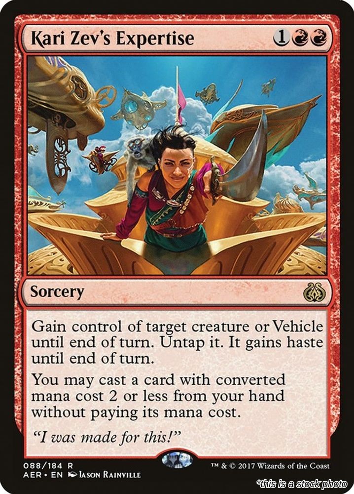 Kari Zev's Expertise