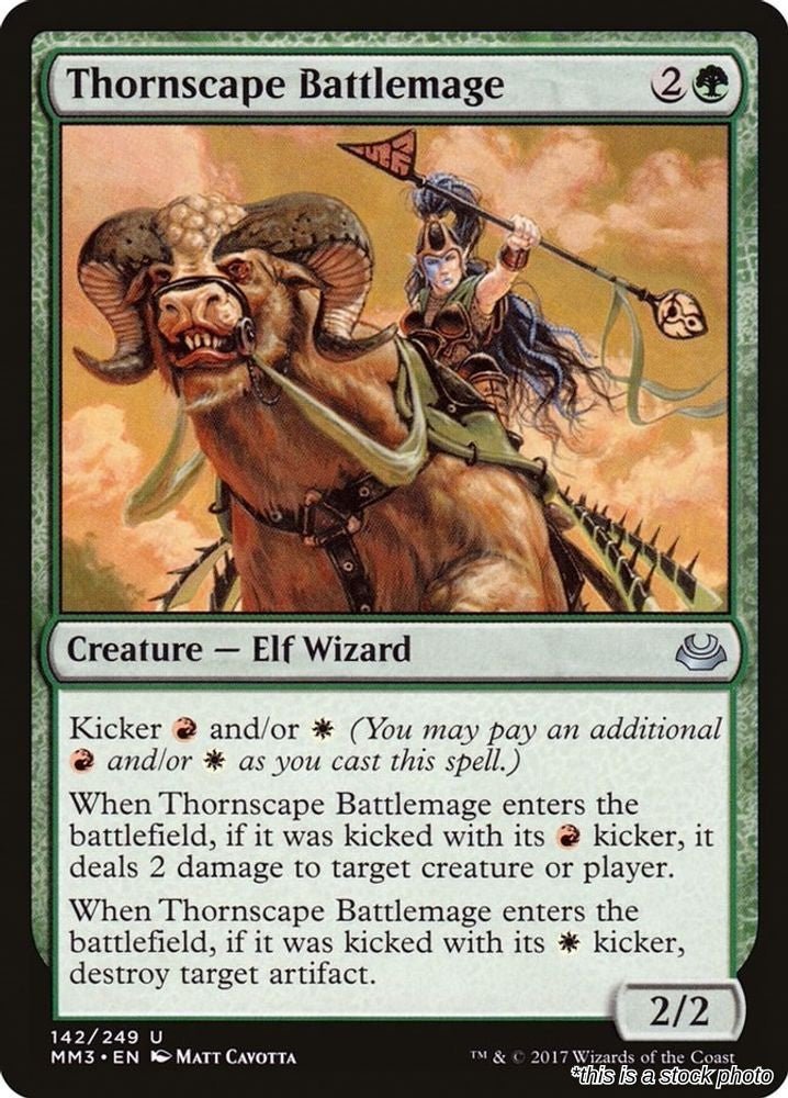 Thornscape Battlemage
