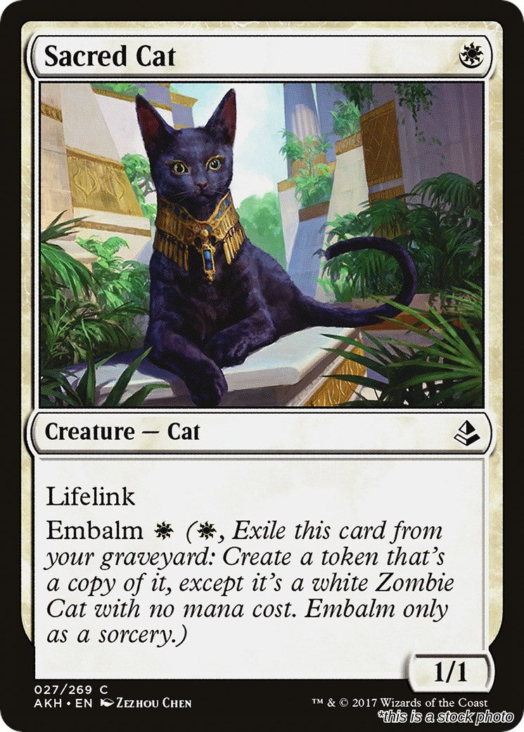 Sacred Cat