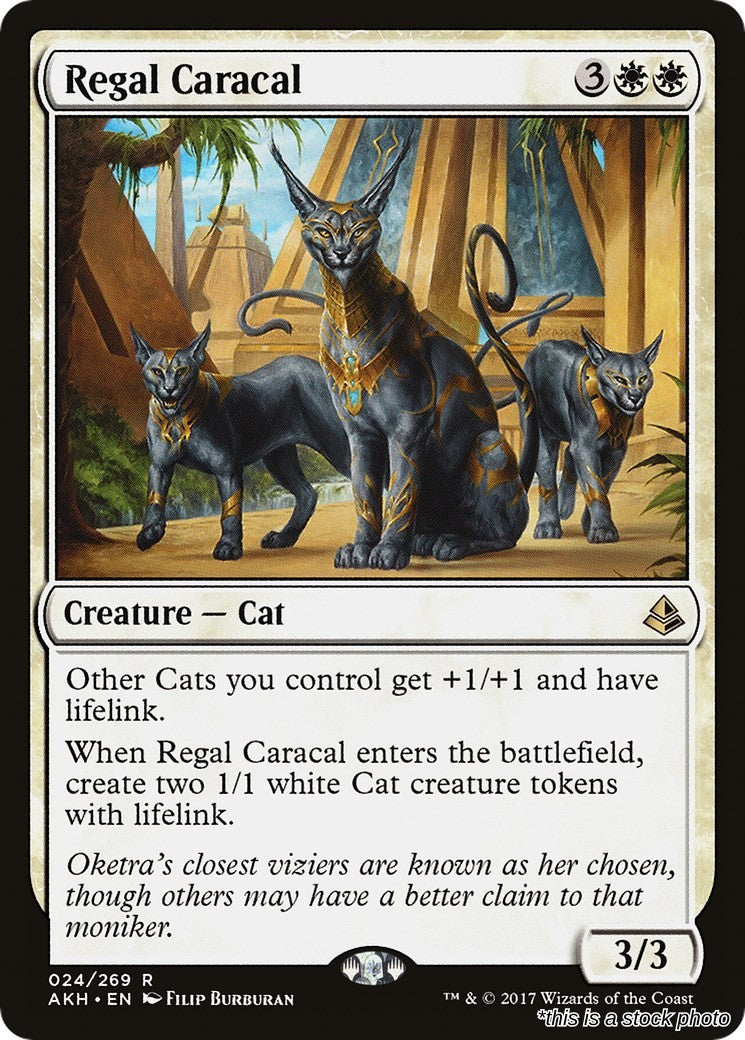 Regal Caracal