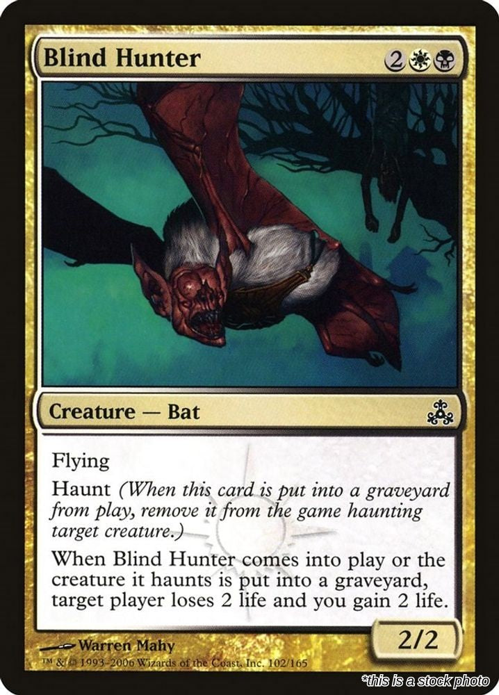 Blind Hunter