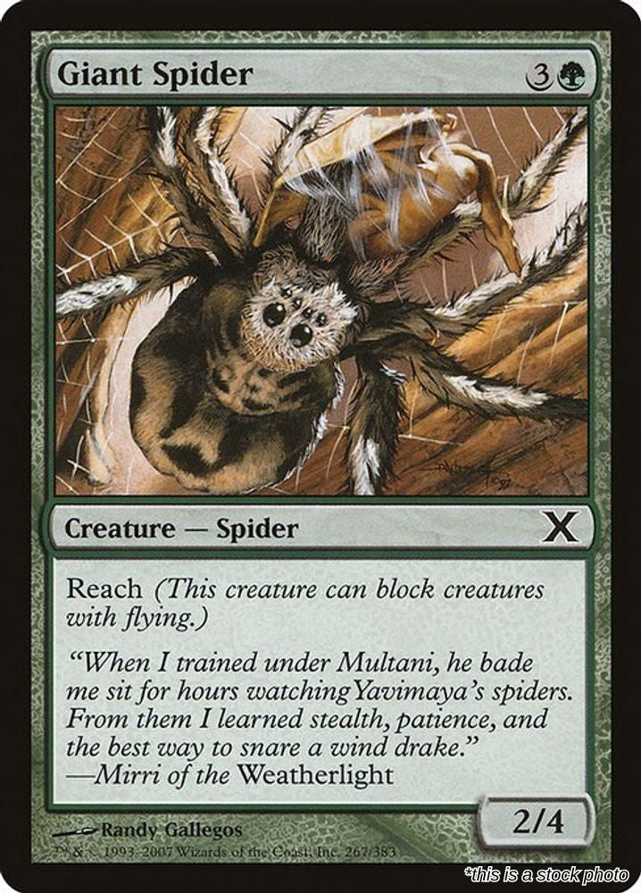 Giant Spider