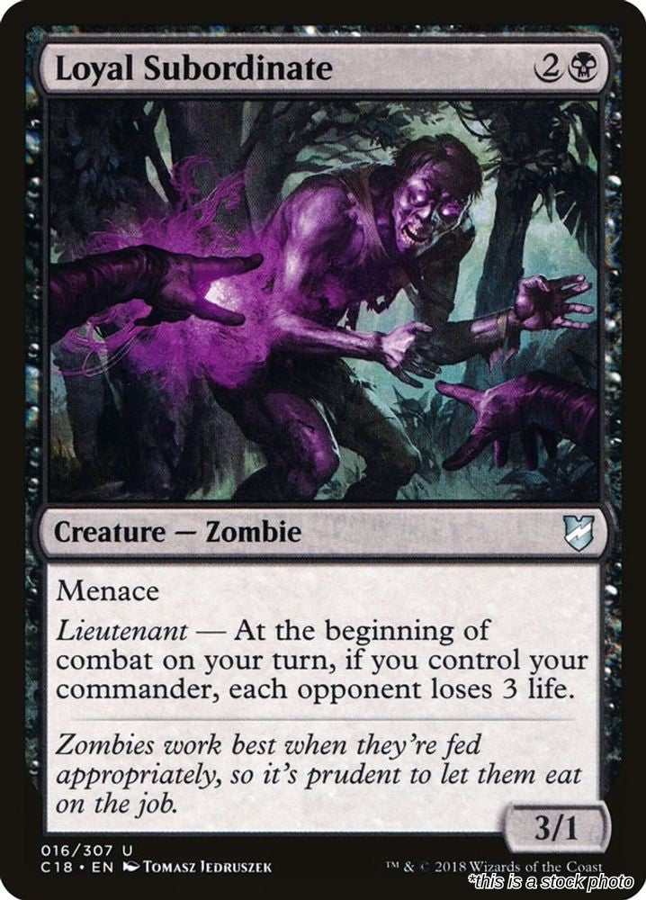 Loyal Subordinate