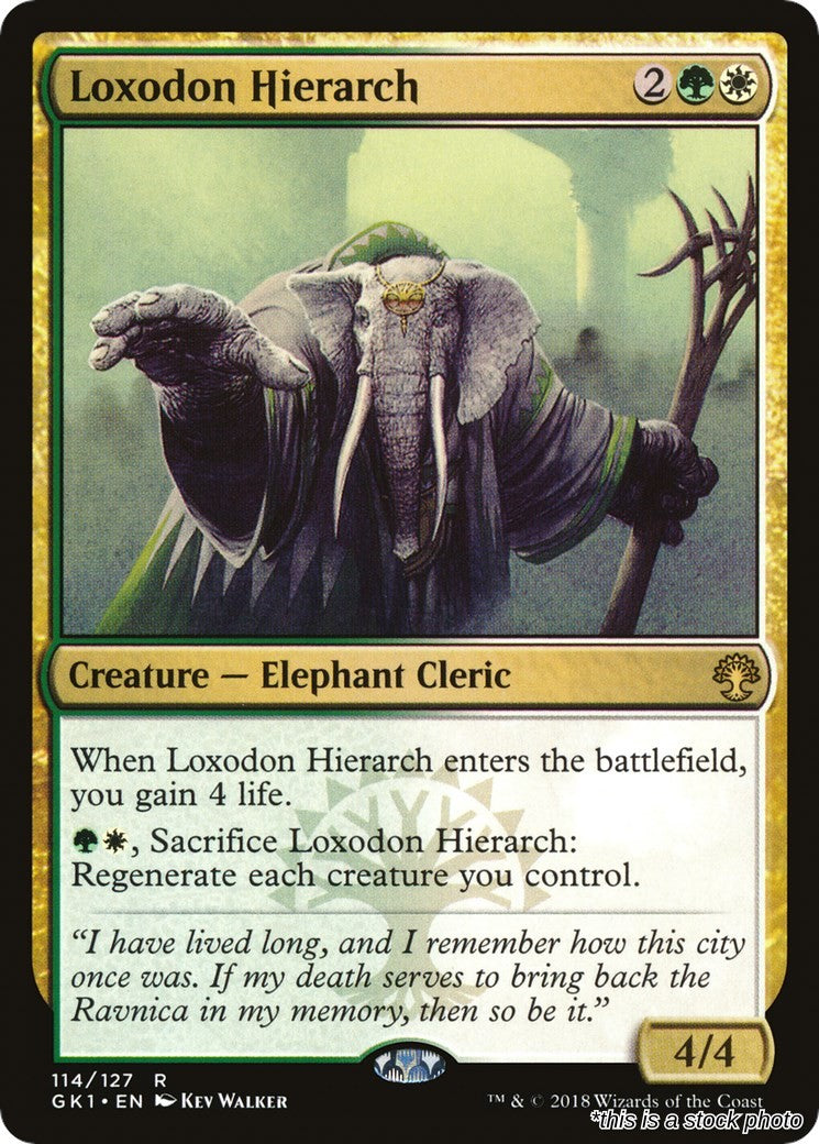 Loxodon Hierarch