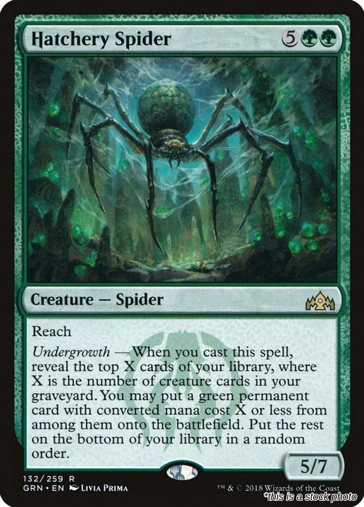 Hatchery Spider