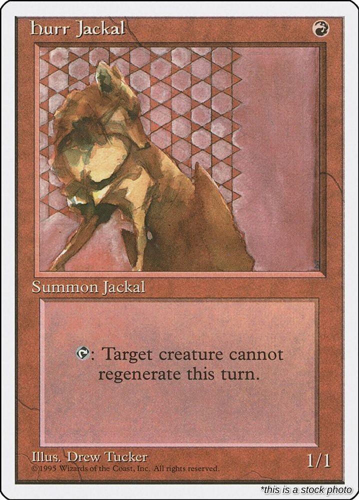 Hurr Jackal