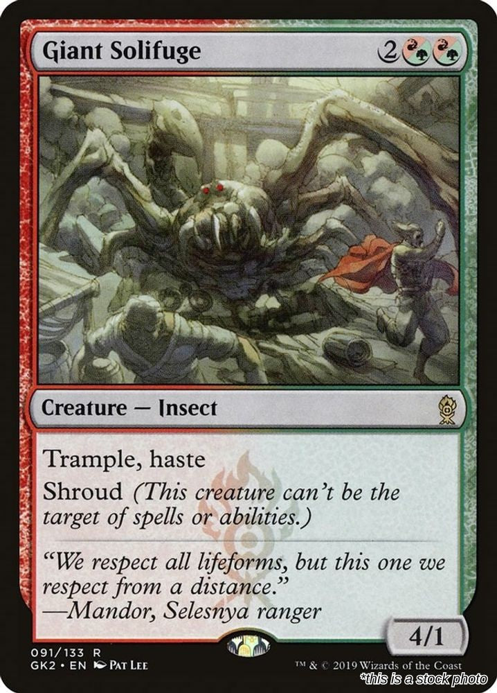 Giant Solifuge