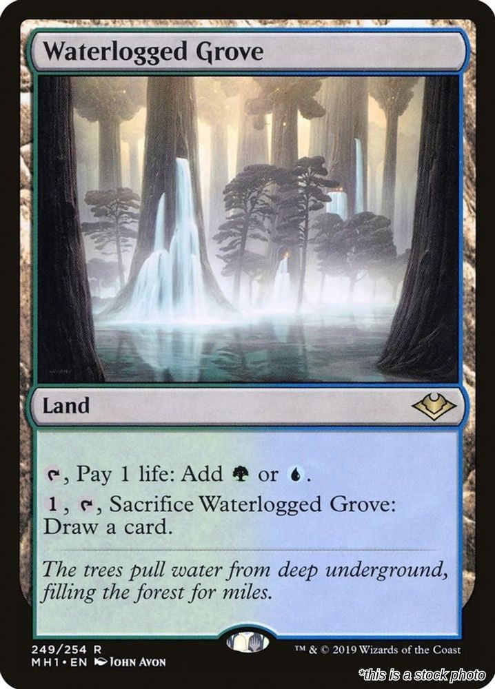 Waterlogged Grove