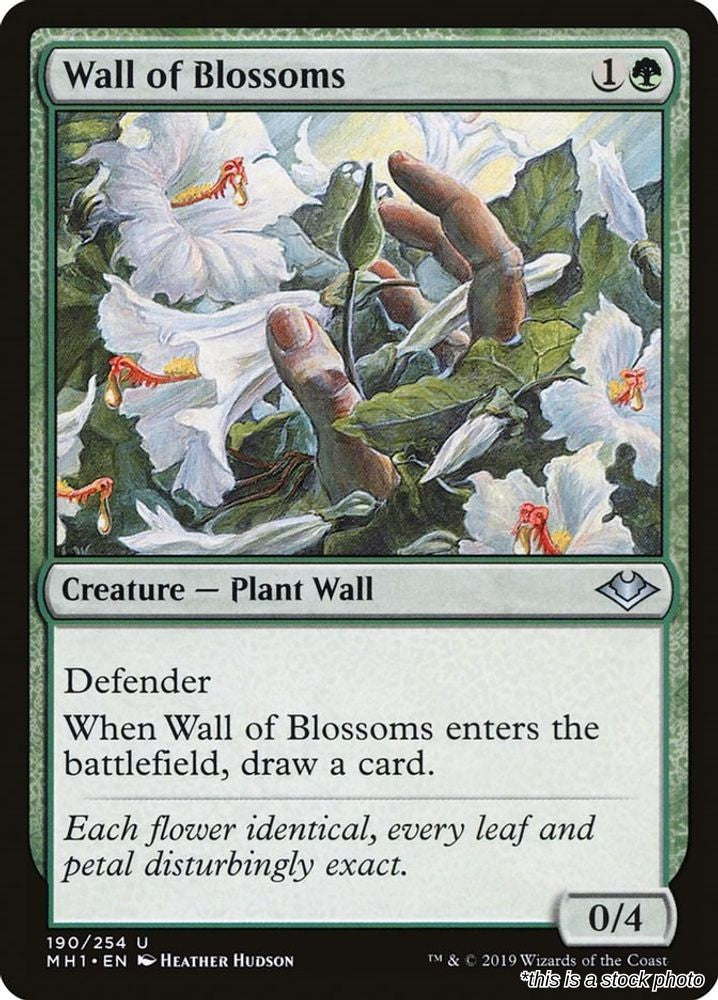 Wall of Blossoms