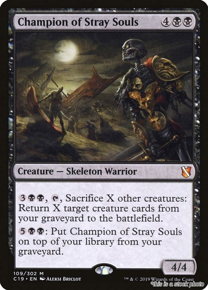 Champion of Stray Souls