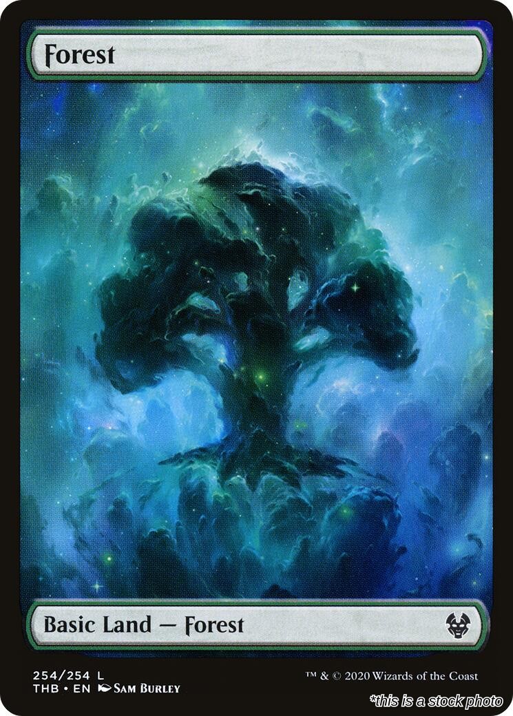 Forest