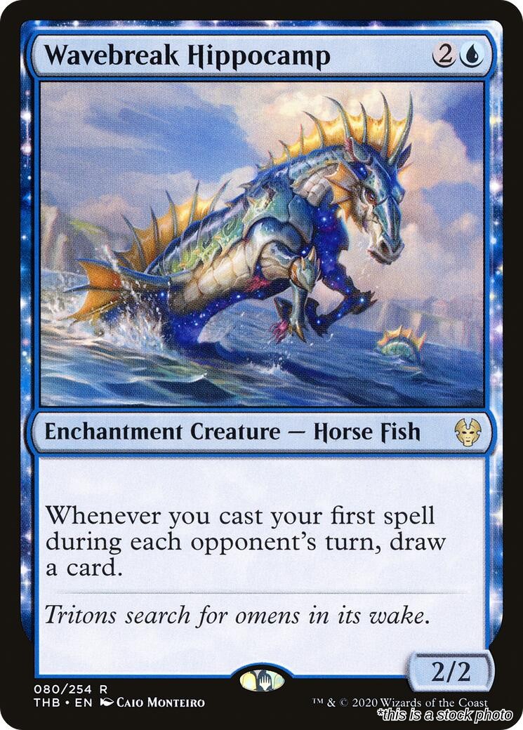 Wavebreak Hippocamp