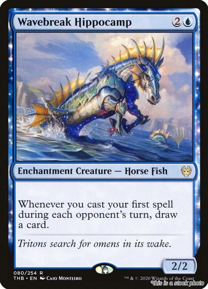 Wavebreak Hippocamp