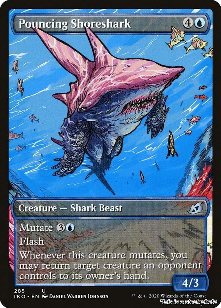 Pouncing Shoreshark (Showcase)