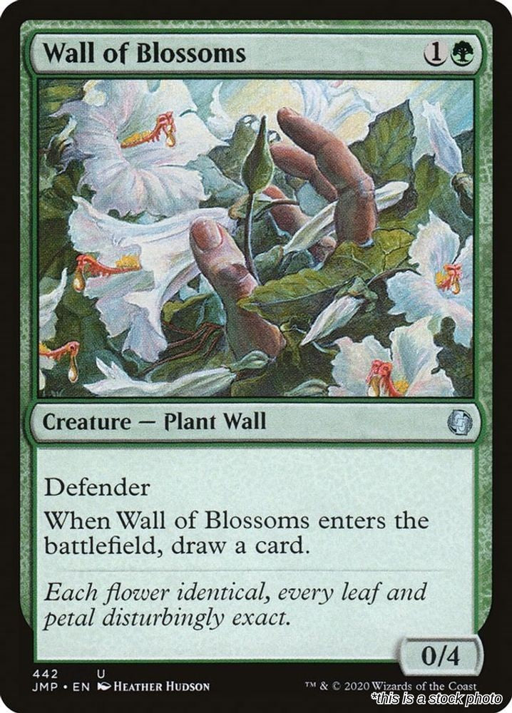 Wall of Blossoms