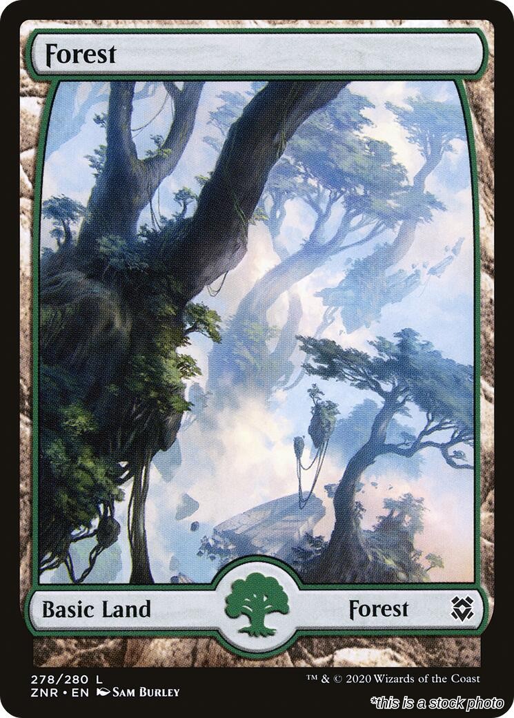 Forest (278) - Full Art