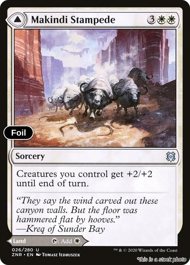 Makindi Stampede