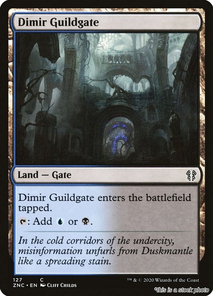 Dimir Guildgate