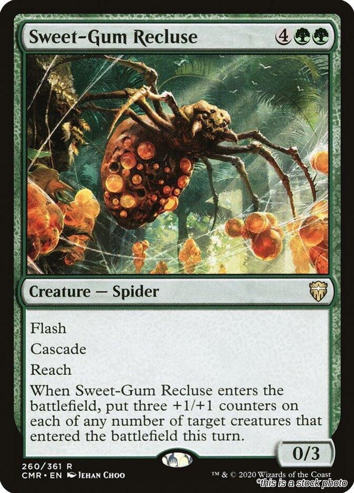 Sweet-Gum Recluse