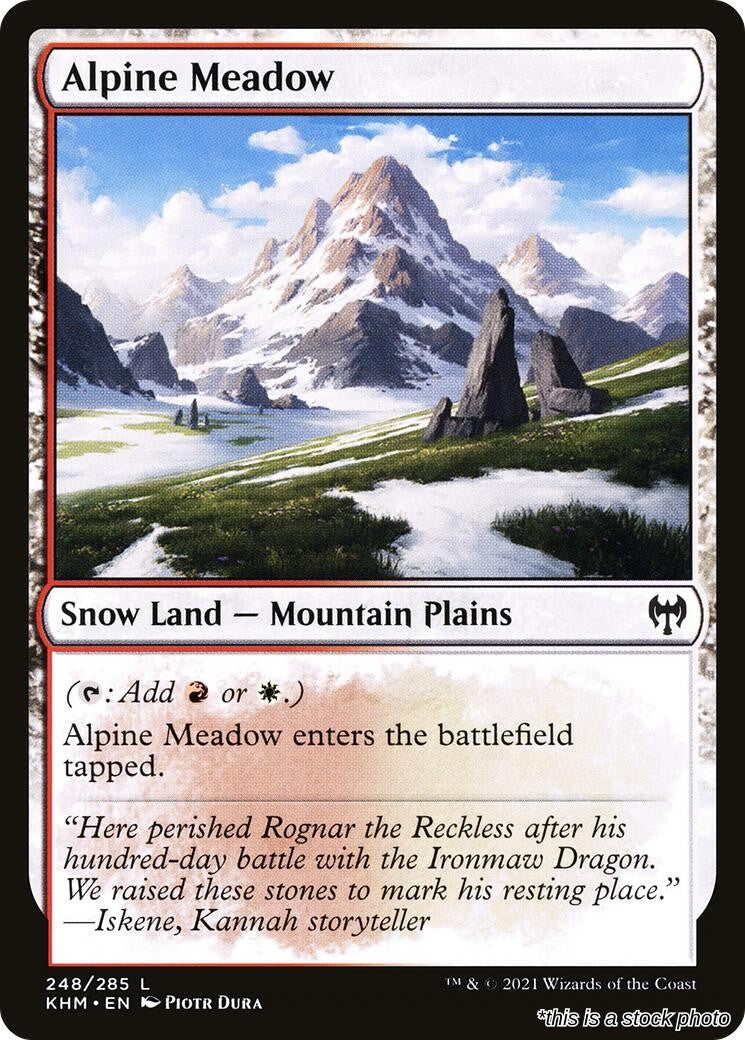 Alpine Meadow