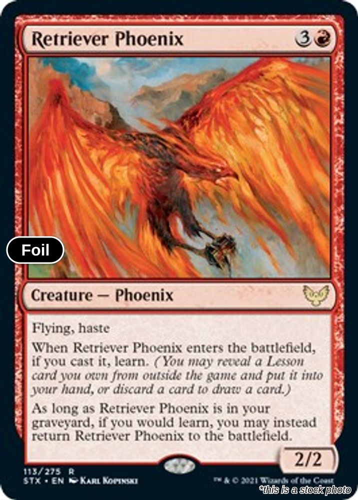 Retriever Phoenix
