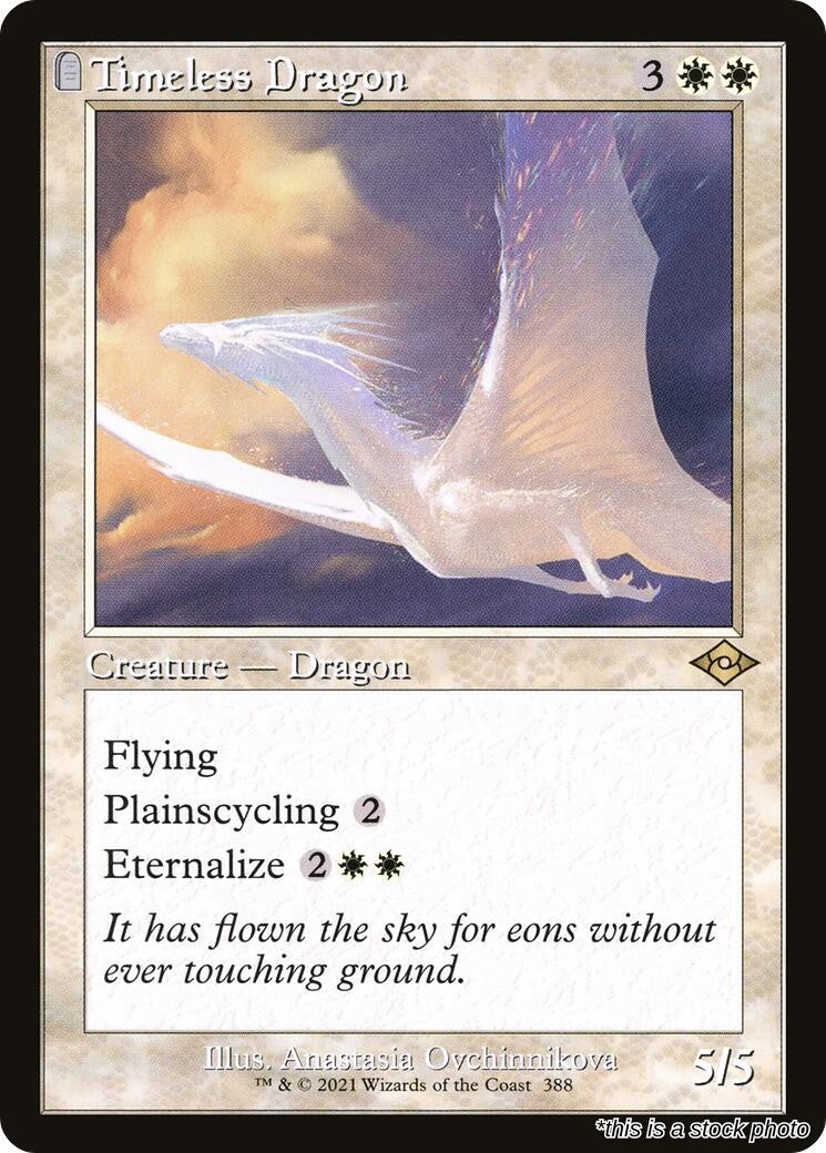 Timeless Dragon (Retro Frame)