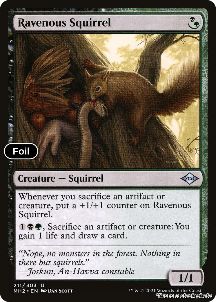 Ravenous Squirrel