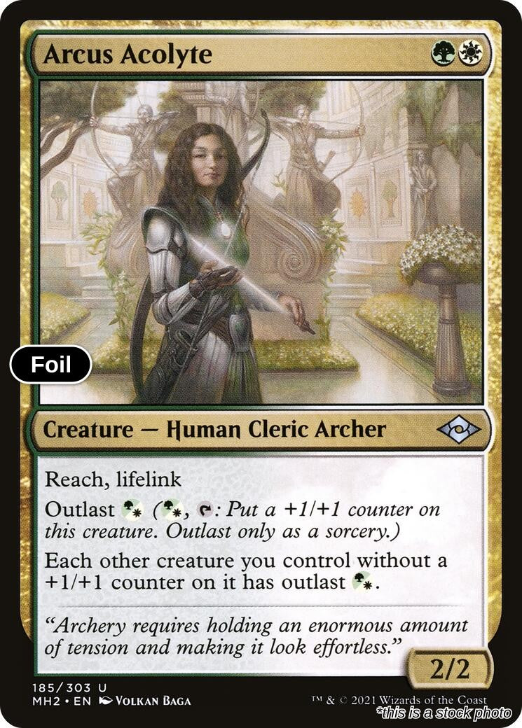 Arcus Acolyte