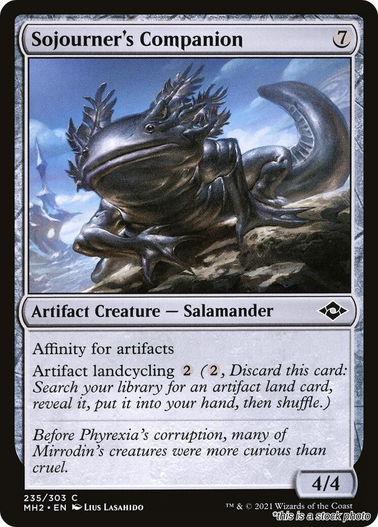 Sojourner's Companion