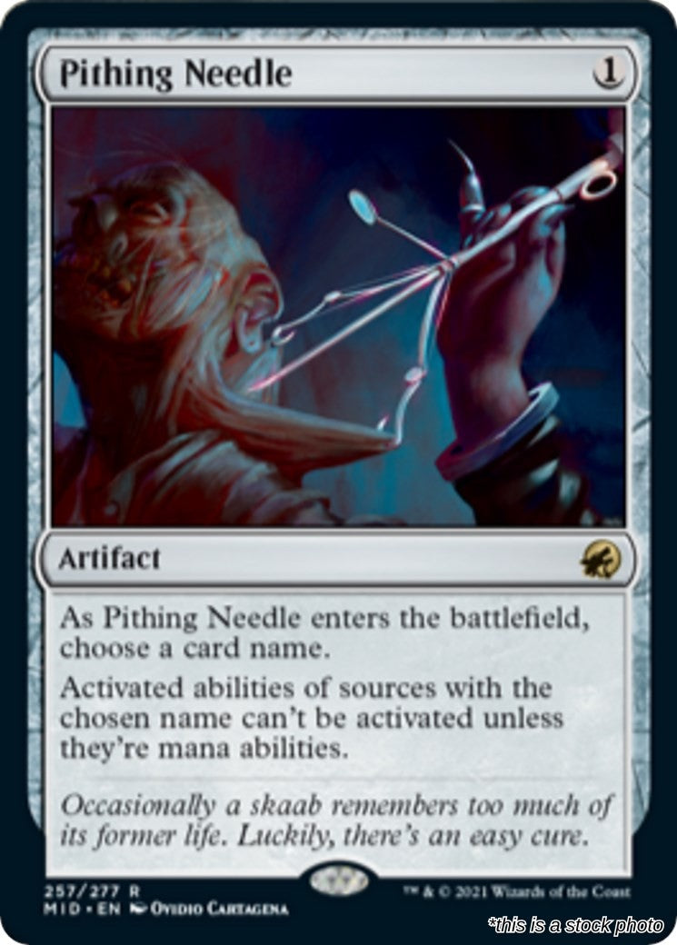 Pithing Needle