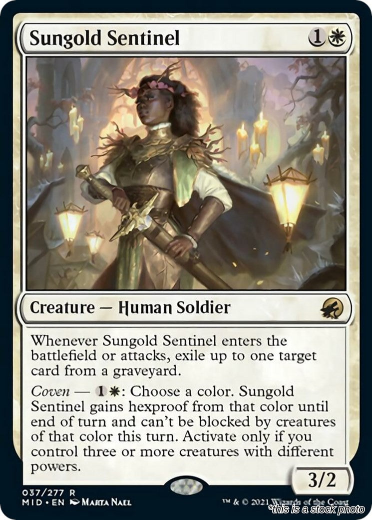Sungold Sentinel