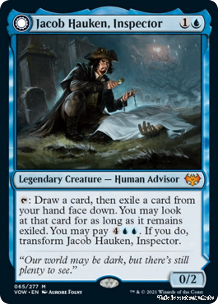 Jacob Hauken, Inspector