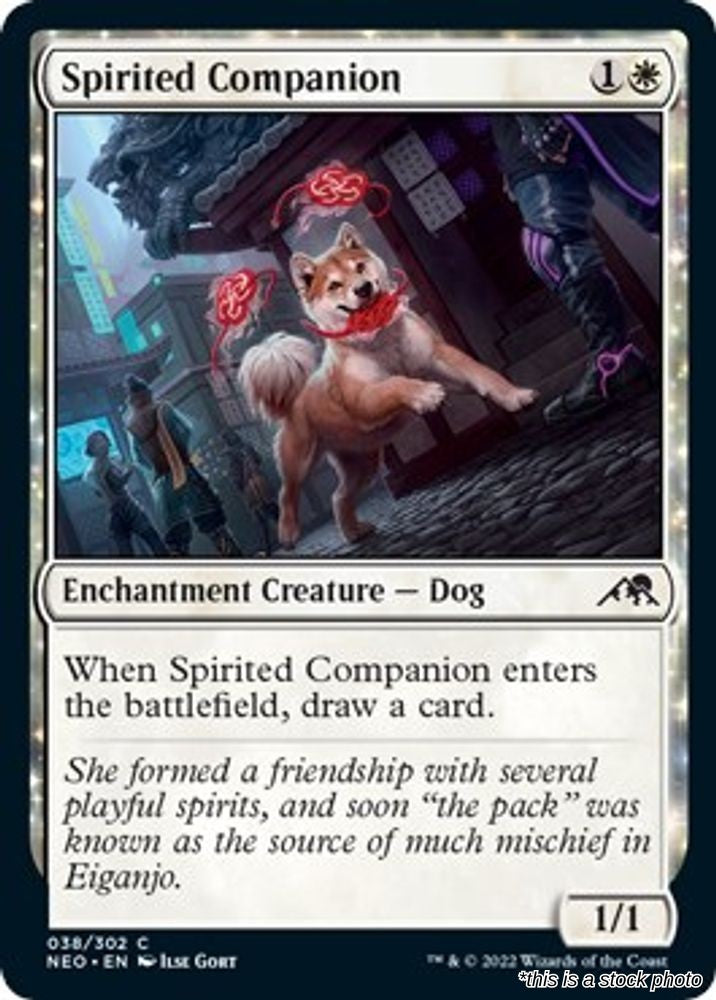 Spirited Companion