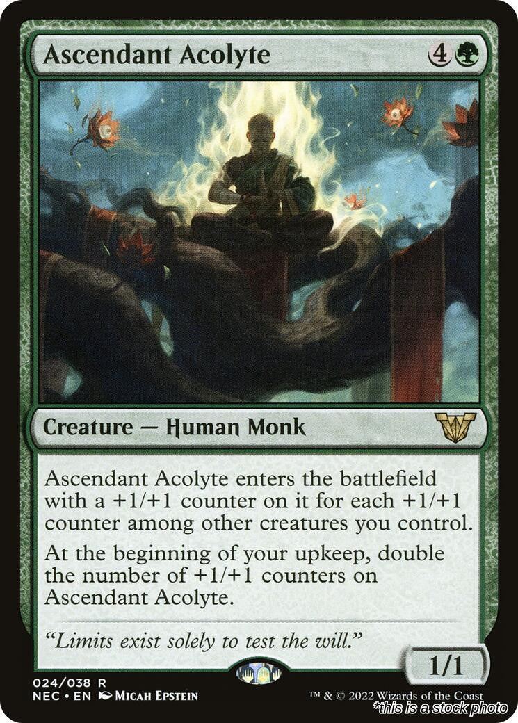 Ascendant Acolyte