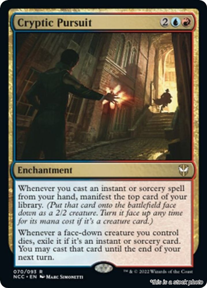 Cryptic Pursuit