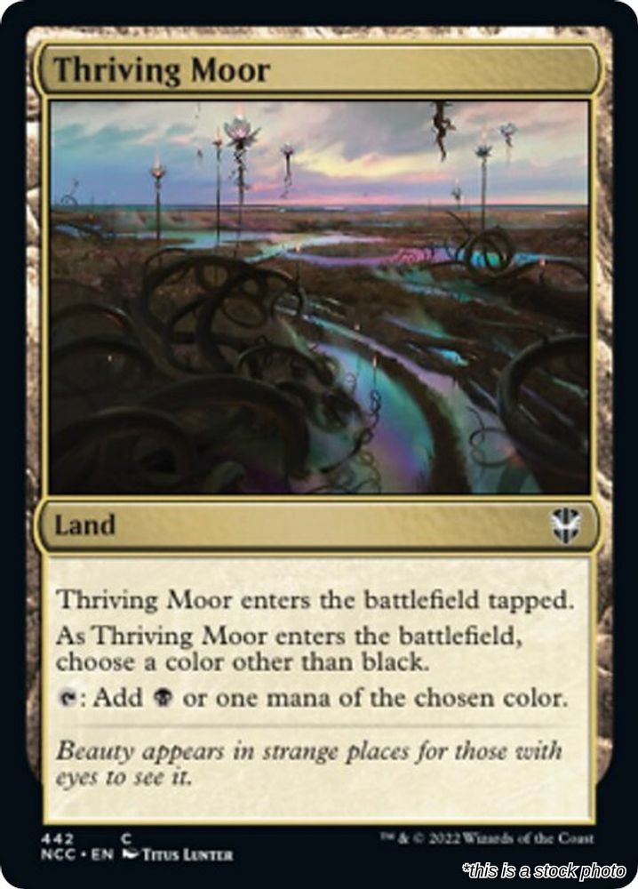Thriving Moor