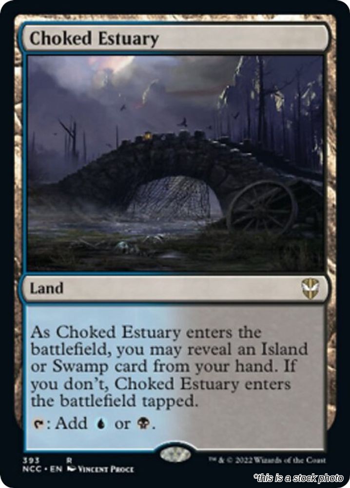 Choked Estuary