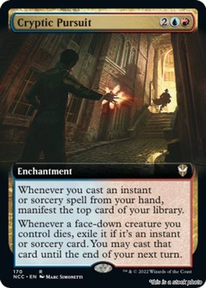 Cryptic Pursuit (Extended Art)